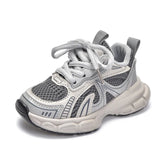 Gray and white sneaker on a white background