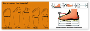 Chart showing how to choose the right shoe size with foot measurements and shoe illustrations.