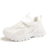 White sneaker on a white background